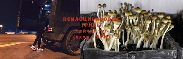 кокаин VHQ Абдулино