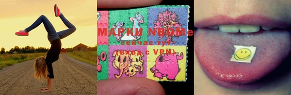 трава Абаза