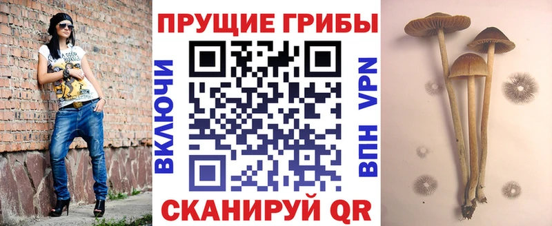Галлюциногенные грибы MAGIC MUSHROOMS  дарк нет наркотические препараты  Усть-Катав 