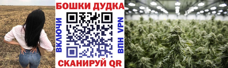 Бошки марихуана Bruce Banner Усть-Катав